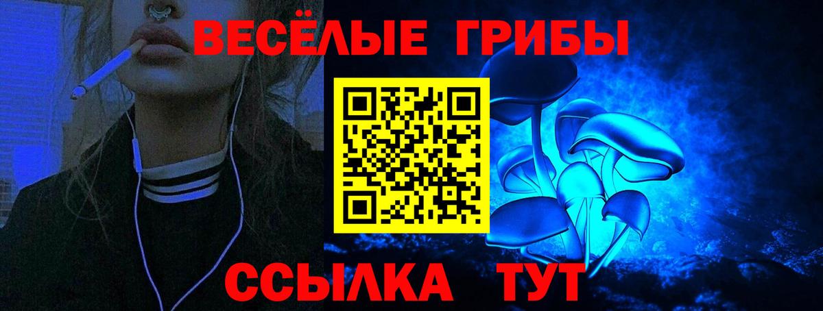 Сертолово  Псилоцибиновые грибы мухоморы  что такое наркотик  Вход с VPN 